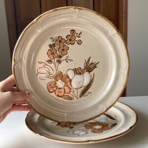 Vintage Hearthside Baroque “Autumn Fair” Dinner Plates, Set of 2
